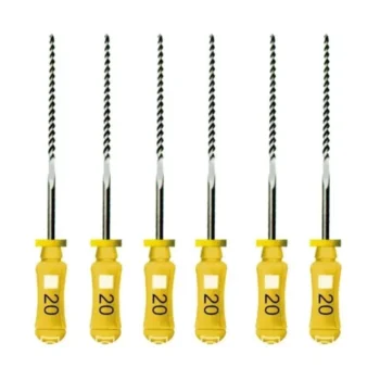 Dentsply-Maillefer-Readysteel-K-File-31-mm-020-N6-A012D03102004.