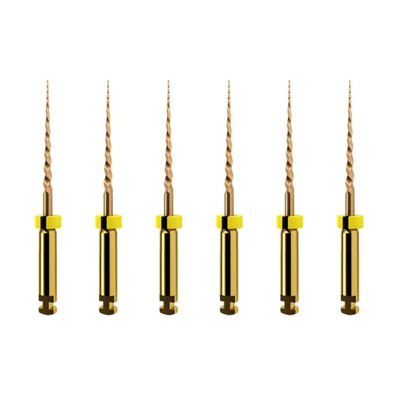 Dentsply-Protaper-Gold-19mm-SX-oran-6tk-A0410219G0103